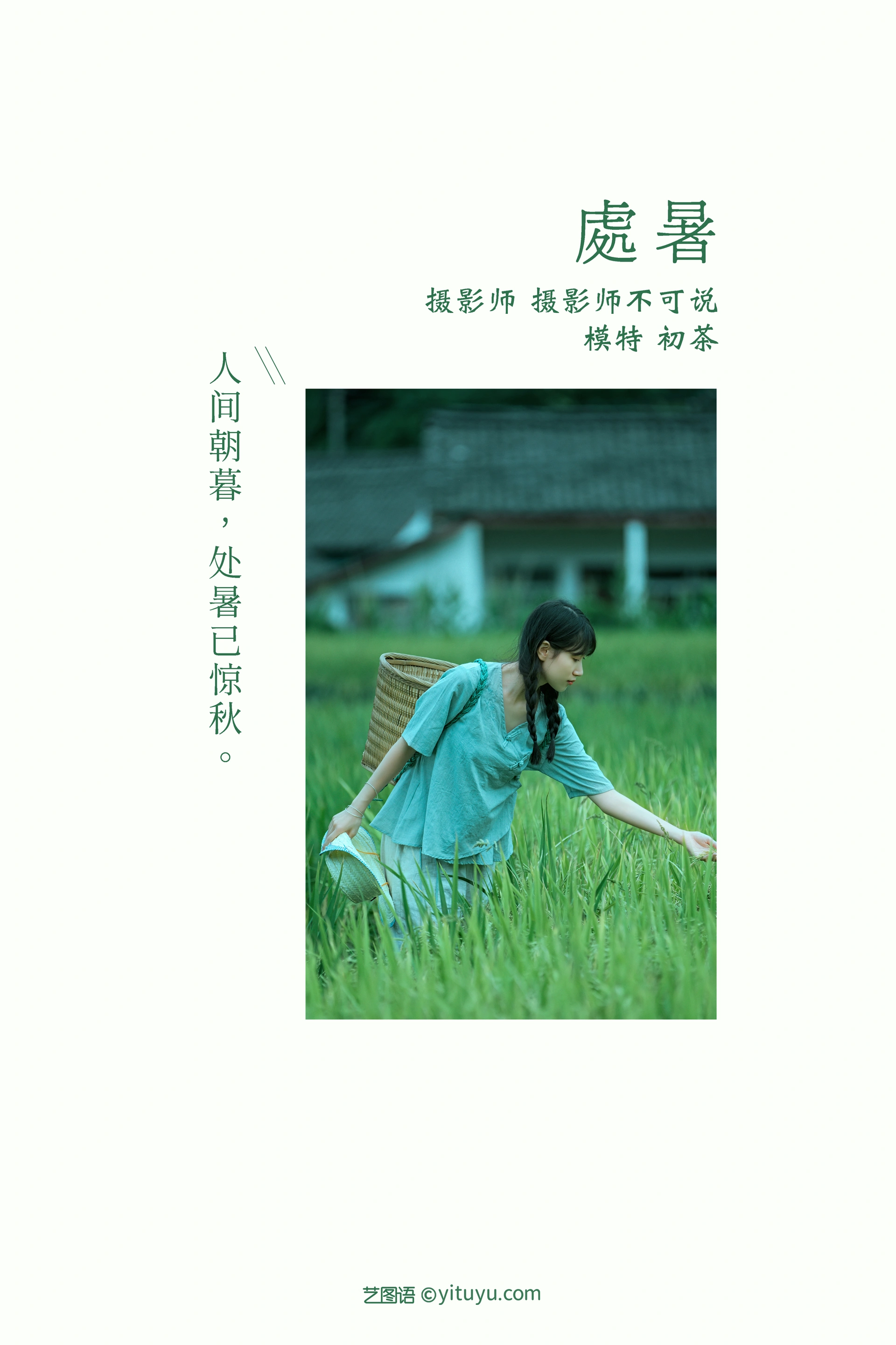 [YITUYU艺图语]2022.01.08 处暑 初茶 0